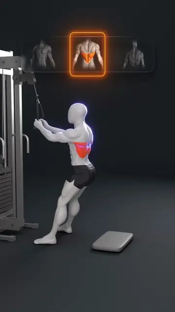 🔥 Rope Pulling Exercises: Know the Difference Rope pulling exercises may look s