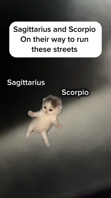 #astrology #zodiacsigns #zodiac #sagittariuszodiac #sagittarius 