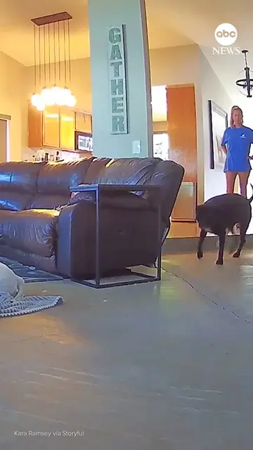 Footage captured two instances of a California woman's dog Blaquee trotting up t