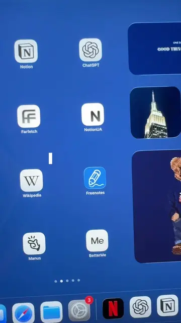 17 YEARS of owning an iPad and now I see this ? 🍀🦢 #freenotes #StudyTok #iPadN