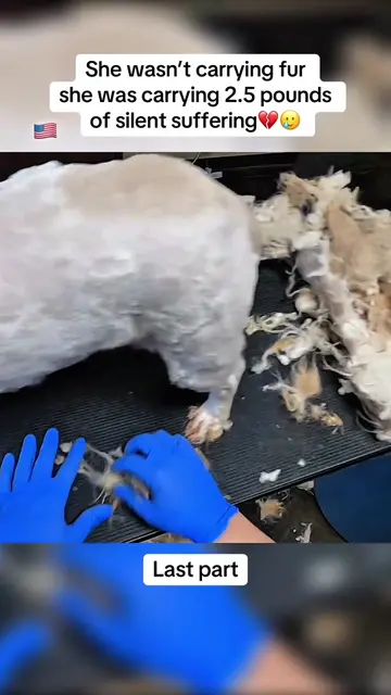 The final layer of matted fur was wrapped so tightly around her body and tail th