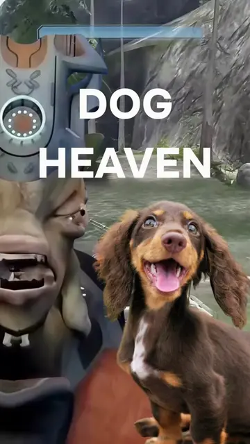 Prophet of Truth Announces Great Journey Pets Policy #pets #prophetoftruth #grea