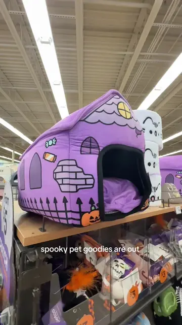 Petco has the cutest stuff out rn 🥹 #petco #halloween #xyzbca 