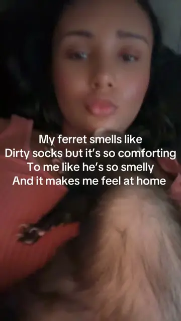 #ferretsoftiktok #ferrettok #ferretmom #ferret #PetsOfTikTok 