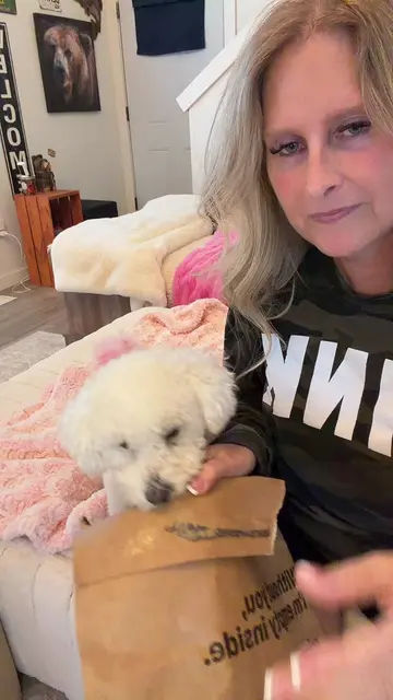 📦💕 Another package from Aly’s personal stylist! 😂👑🐾 Our sweet friend follow