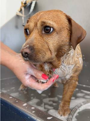 okay LAST one from cashews bath 🙈 she’s just the cutest girl when she’s getting
