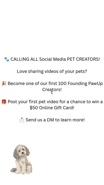 🐾 NANO & SMALL PET CREATORS #PawUpApp