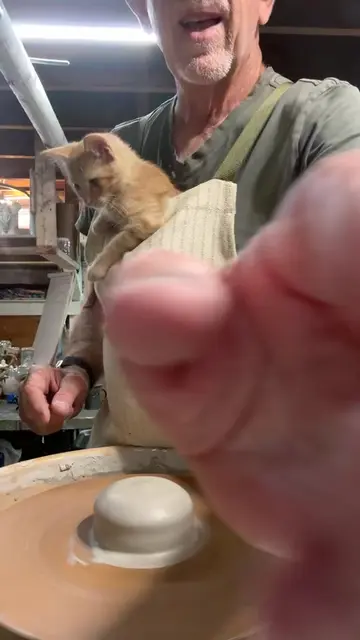 Making some mugs for the Princeton club with Georgie!  ##kittens##cermaics##pott