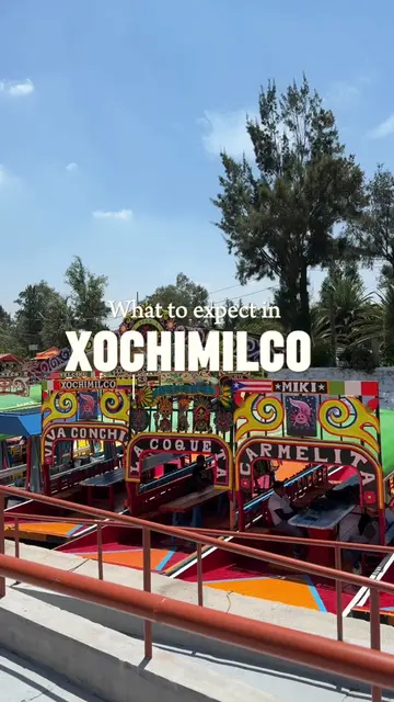 I finally got to experience Xochimilco, and it was even more fun than I imagined