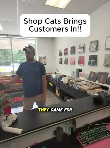 🚨CUSTOMERS LOVE SHOP CATS 🐈‍⬛ ‼️ Are you having a tech problem? We accept mail