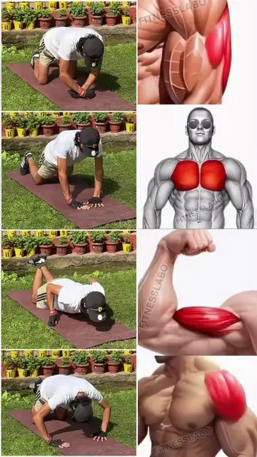 4 Push-Up Variations to Build a Stronger Upper Body! 🔥 Stop doing the same push