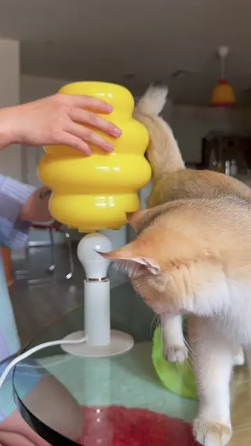 i’ve been wanting to try this viral ikea flower vase lamp hack but didn't want t