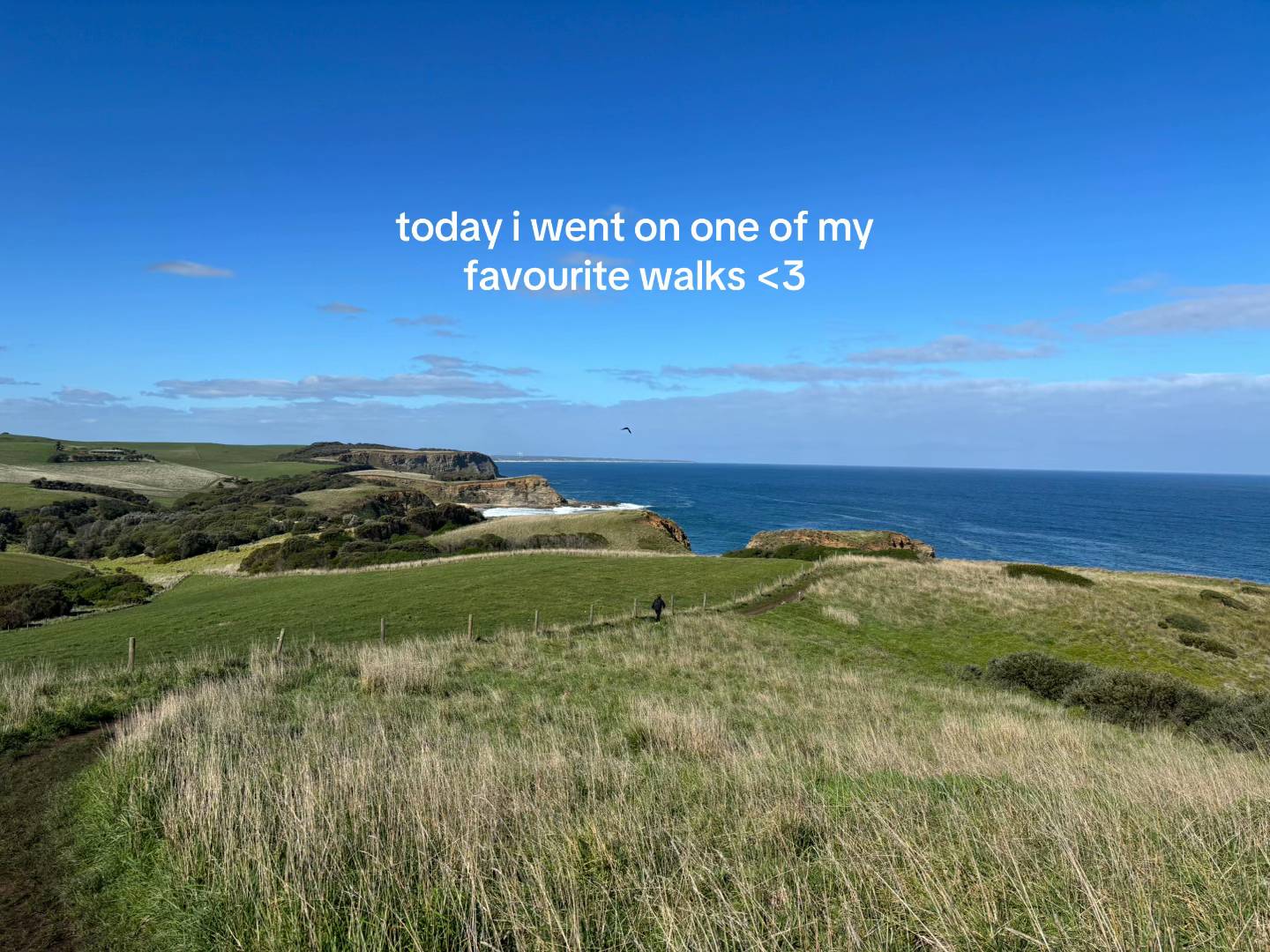 i <3 this walk #melbourne #georgebasscoastalwalk #melb #creatorsearchinsights #H
