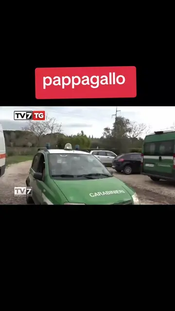 #expression #blackpink #LearnOnTikTok #italy #france 