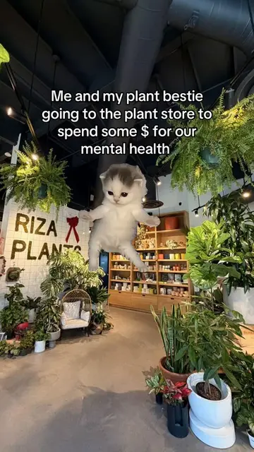 Sometimes you just need some plant therapy #PlantTok 