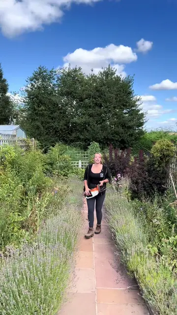 Stop babying your lavender! It’s finished flowering, it wants a haircut. Hedge t