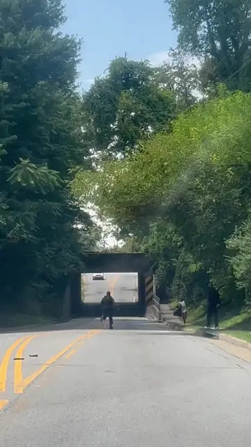 Run forest run 😂😂😂 #757 #Suffolk #7cities #Fyp #haha