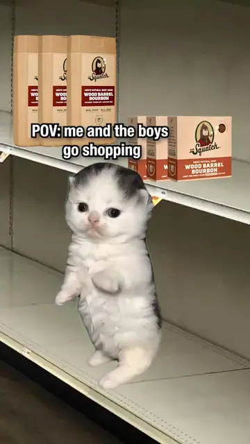 When it comes to soap, I'm not kitten around #drsquatch #soap #shopping #boys #b