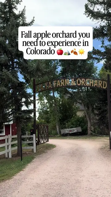 Can you believe @ya_ya_farm_and_orchard_ sells out of apple-picking reservations