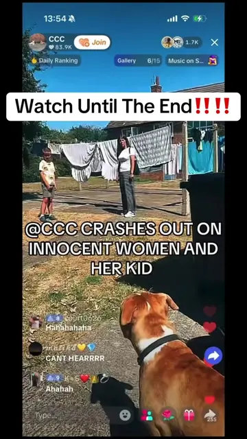 #doglife #fyp #foruyou #expose #ccc ‼️‼️