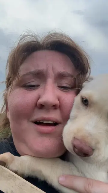 Puppy rescue my fiance might really leave me for all the animal rescue missions 