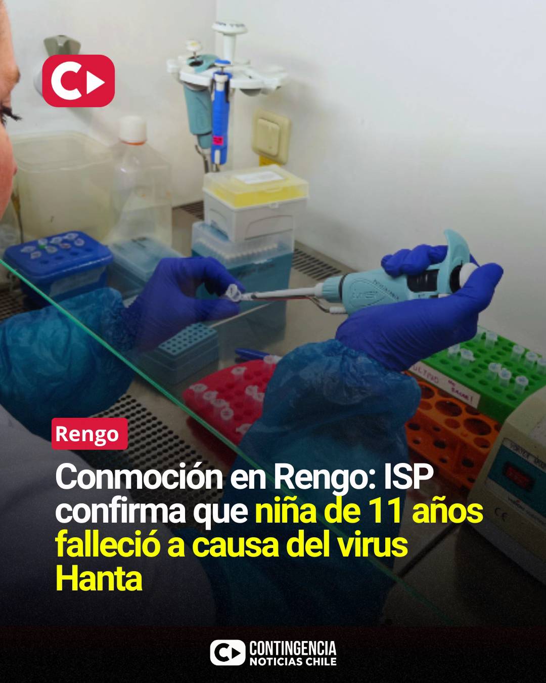 🔴 CONMOCIÓN EN RENGO: ISP CONFIRMA MUERTE DE NIÑA DE 11 AÑOS POR VIRUS HANTA El