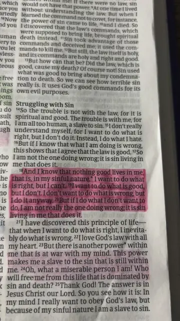 Romans 7:18-20 | Fight the flesh. #christiantiktok #jesuslovesyou #fyp #faith 