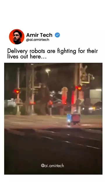 Delivery robots are fighting for their lives out here...