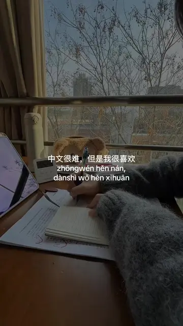 struggling with chinese but still loving it 😂 #studychinese #mandarinchinese #l