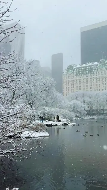 NewYork ThePlaza hotel  #homealone #christmas #newyork #kevinmccallister #thepla