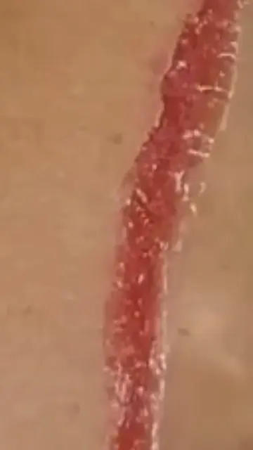 A Scar Without a Blade? This Liquid Does It #TikTok #Makeup #SFXMakeup #SpecialE