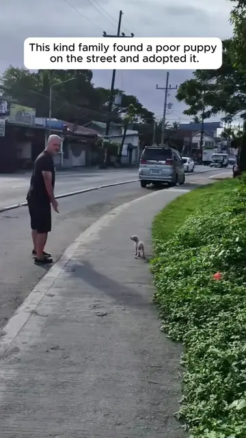 This kind family found a poor puppy on the street and adopted it . #rescue #anim