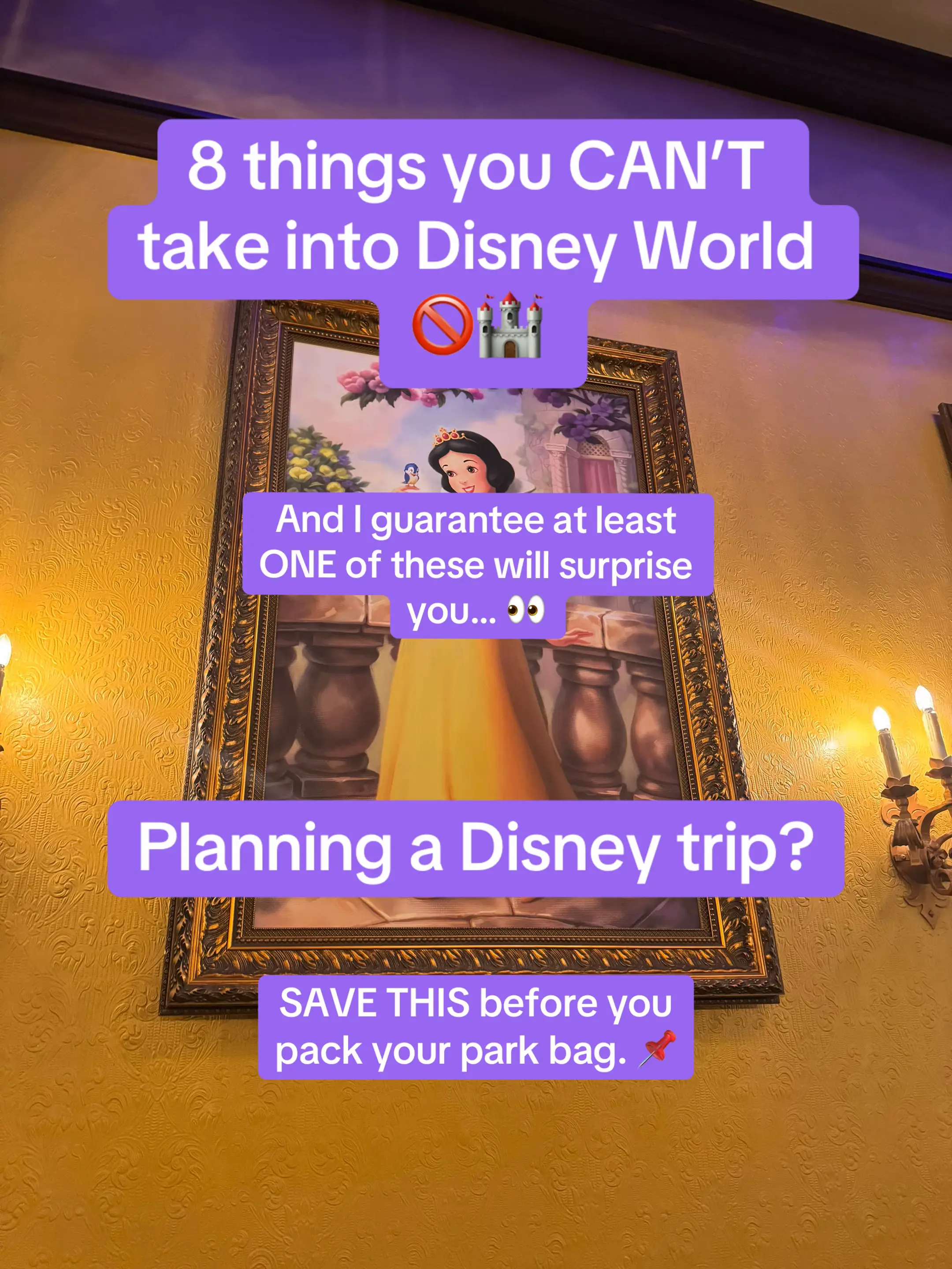 You probably already know there are obvious things you can’t take into the parks