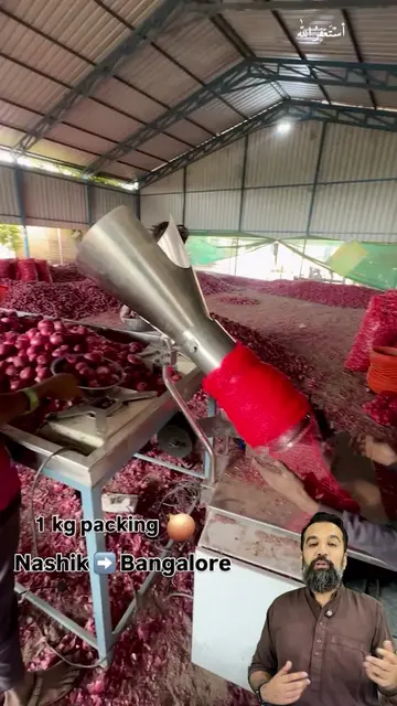 Onion Packing Aise Hoti Hai Millionairo