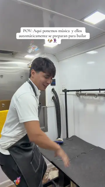 Es sábado y Koki claramente no piensa quedarse sentado   No hay mejor forma de a