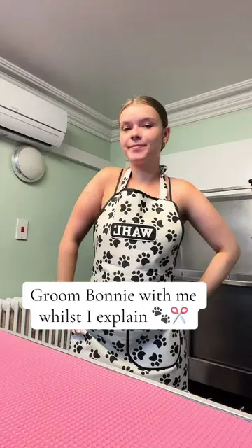 Help me out tik tok!!! ✂️🐾 #fyp #doggrooming #ownbusiness #blowup? 