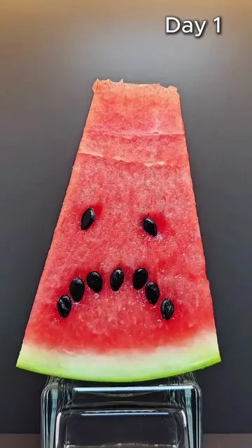 🍉 Watermelon — 10 Days Without a Fridge in 5 Seconds ⚡️ #Timelapse  #Watermelon