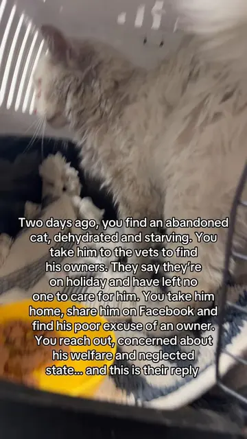 Determined to keep sharing this beautiful boy until his owners grant me ownershi