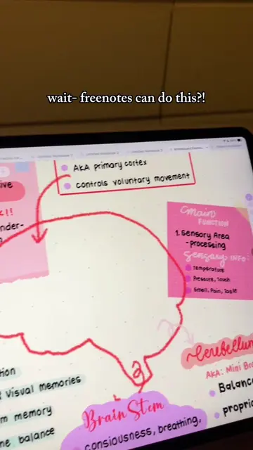 now you know, girl😉 #freenotes #ipadstudy #digitalnotetakingtips #ipadnotetakin