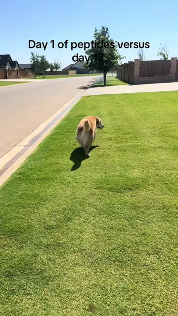 Our kid took off running today. He hasn’t done that in a long time.  He also put