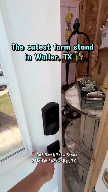 📍 362 North Farm Stand 26836 Fm 362 Waller TX                   The cutest farm