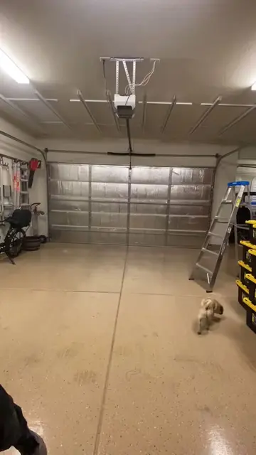 Messy garage ➡️ ORGANIZED ✅