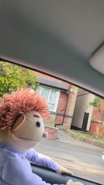 Part 4 - He approves 👋🏼 #fyp #trending #reaction #funnyvideo #puppet 