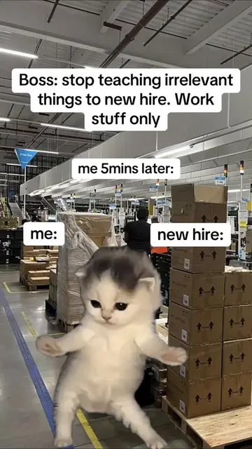 It is work things too #newhirehumor #jokesmemes #checkmeme #funny #fypシ゚viral 