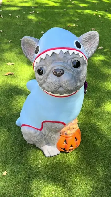 Finally got the Frenchie Shark from Home Depot. His little pumpkin with dog bone