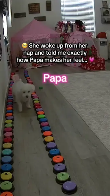 After getting home from spending the day with Papa, Aly took a little nap. When 