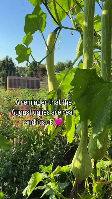 August uglies are hitting hard over here 😅 - I hate to say it, but we’re beginn