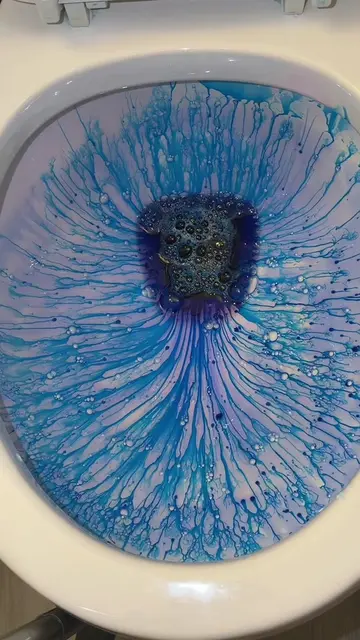 BEST TOULET CLEANER ON TIKTOK IS….. WHO DO YALL THINK??? #TOILETCLEANING #bestto