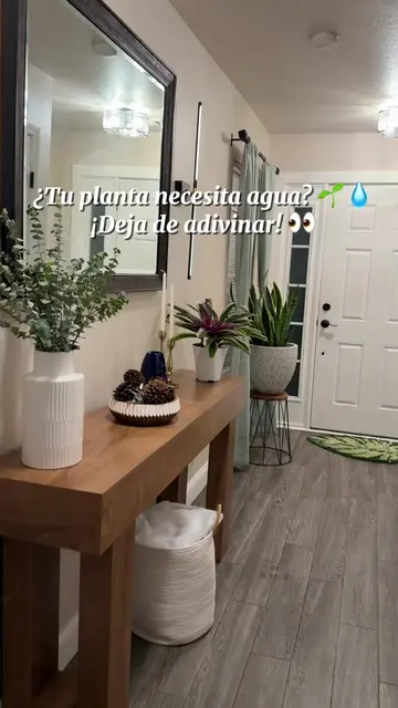¿Eres de las que no sabe cuándo regar sus plantas? 🌱💧 Este medidor te ayuda a 