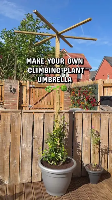 MAKE A CLIMBING PLANT UMBRELLA WITH US! 🌿 We saw these gorgeous climbing plant 